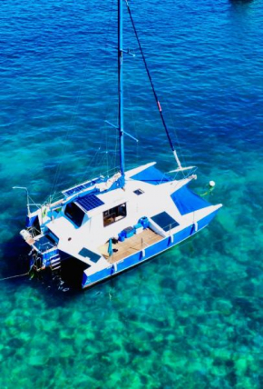 Veleiro Catamarã